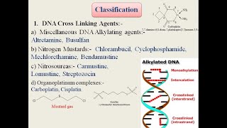 Classification of Anticancer or Antineoplastic agents Medicinal Chemistry Structural basis [upl. by Amlus]