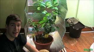 How To Make the Cheapest DIY Grow Tent for Indoor Plants [upl. by Sarene]