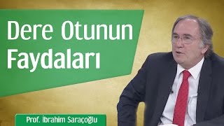 Dere Otunun Faydaları  Prof İbrahim Saraçoğlu [upl. by Aken]