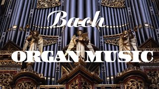 Bach  The Best Organ Music [upl. by Fiden]