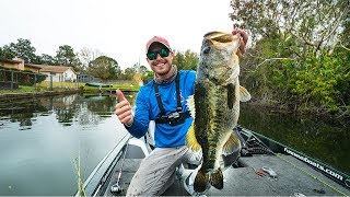 Hunting Down GIANT Florida Bass [upl. by Macdonell]