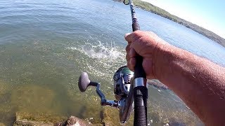 How To Catch HUGE Catfish From The Bank [upl. by Ridley]