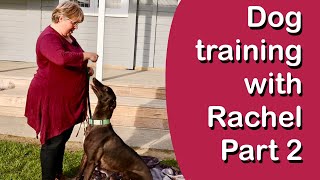 Advanced Dog Training with Greyhound Guru Dog Behaviourist amp Trainer Rachel [upl. by Boeschen]