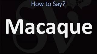 How to Pronounce Macaque CORRECTLY [upl. by Adolphe988]