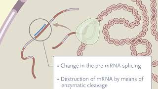 Treating Disease at the RNA Level with Oligonucleotides [upl. by Connie]