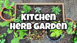 DIY Herb Garden For Beginners  DIY Kitchen Herb Garden [upl. by Esiom]