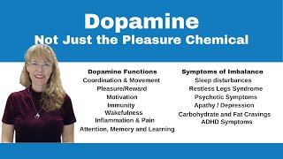 Demystifying Neurotransmitters Serotonin Dopamine and Beyond [upl. by Chicky]