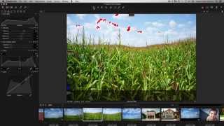 Capture One Express For Sony  Getting Started with Capture One [upl. by Monika]