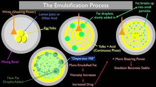 The Emulsification Process [upl. by Nilok47]