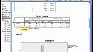 Testing Distributions for Normality  SPSS part 1 [upl. by Enimaj]