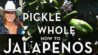 How to Pickle Whole Jalapeno Peppers  Easy Beginner Method [upl. by Lewie947]