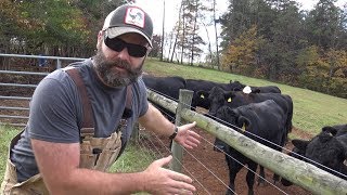 CATTLE FENCING IDEAS FOR YOUR FARMRANCH [upl. by Chambers]