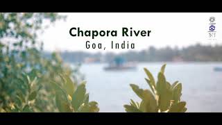 Chapora River  Experience Goa differently  India [upl. by Ixela]