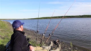 How to Catch MORE Catfish Bank Fishing [upl. by Leong531]