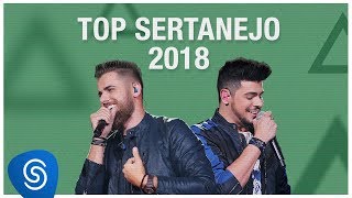 Top Lançamentos Sertanejo 2019  Os Melhores Clipes [upl. by Yrennalf]