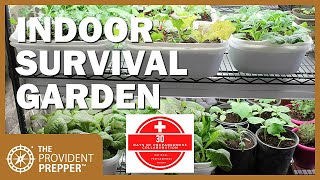 How to Grow an Indoor Survival Garden [upl. by Heady256]