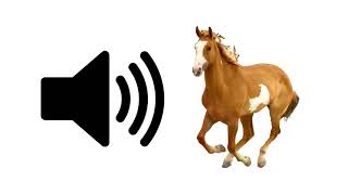 Horse  Sound Effect [upl. by Yrreb]