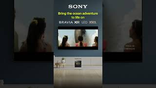 Sony BRAVIA XR LED X90L TV [upl. by Attayek]