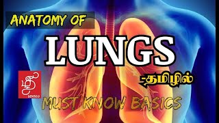 ANATOMY OF LUNGS  LUNGS  IN TAMIL ANATOMY MEDICINE [upl. by Elleirol]