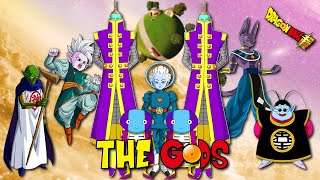 Dragon Ball GODS HIERARCHY Explained  History of Dragon Ball [upl. by Alaekim36]